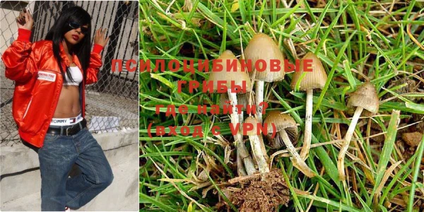 гашиш Аркадак