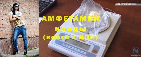 PSILOCYBIN Алзамай